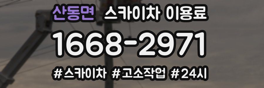 산동면 스카이차 이용료