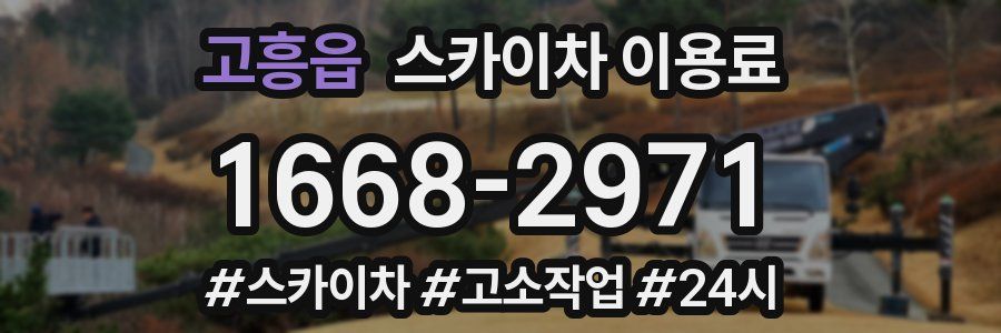 고흥읍 스카이차 이용료