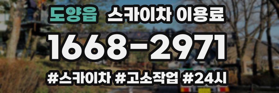 도양읍 스카이차 이용료