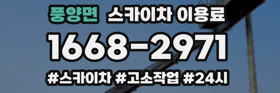 풍양면 스카이차 이용료
