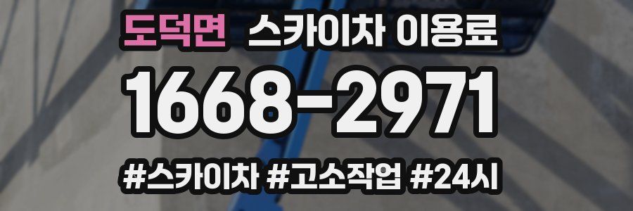 도덕면 스카이차 이용료