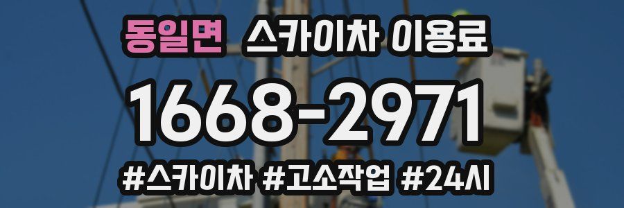 동일면 스카이차 이용료