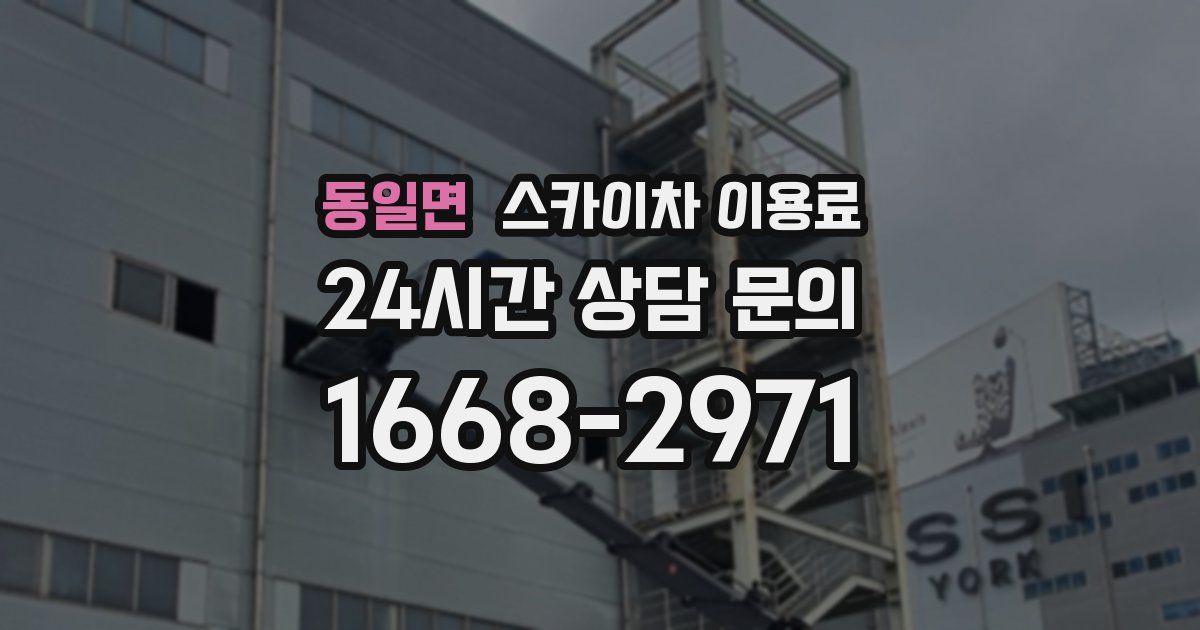 동일면 스카이차 이용료