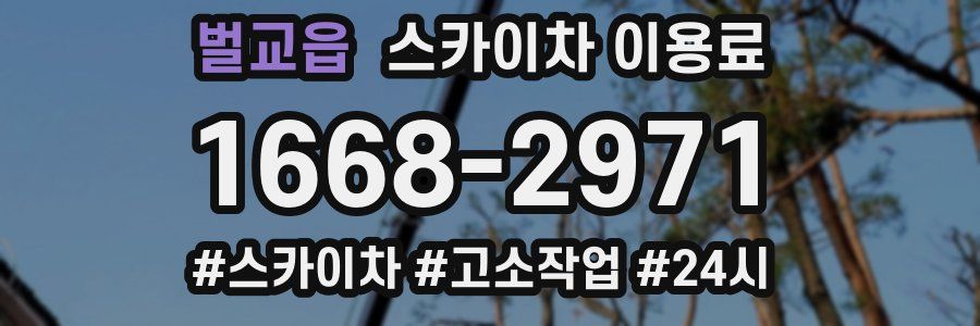 벌교읍 스카이차 이용료