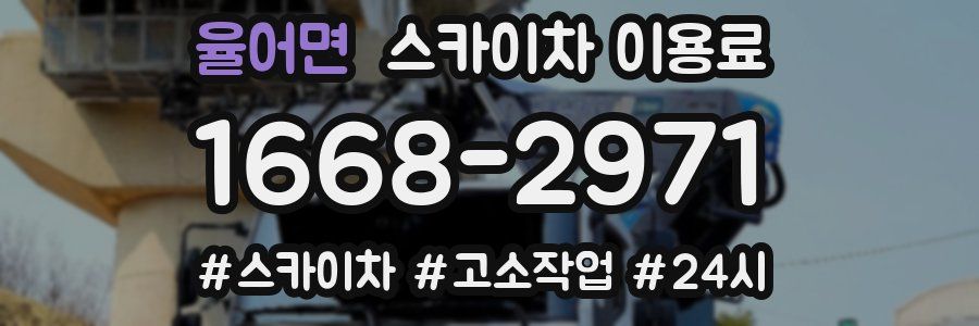 율어면 스카이차 이용료