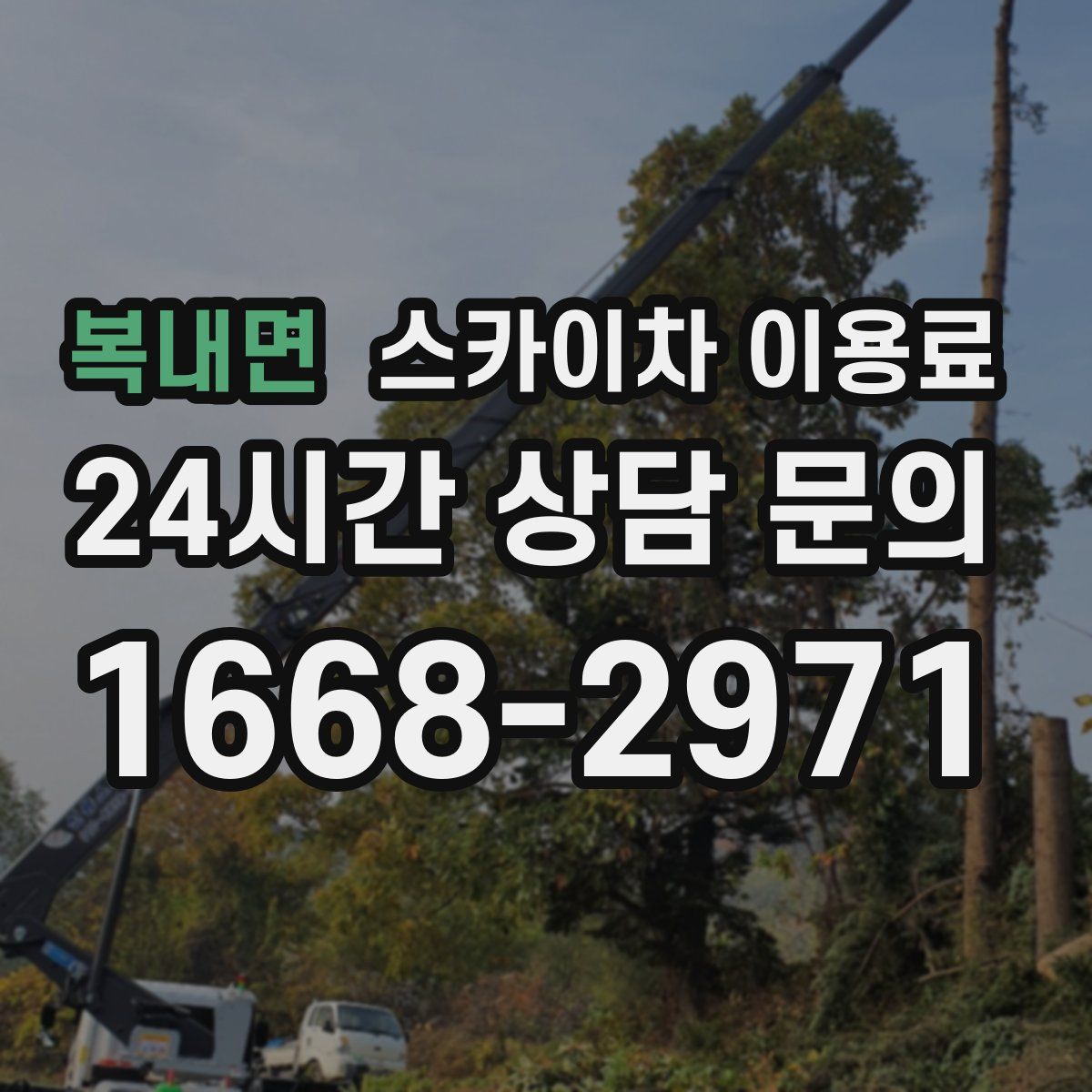 복내면 스카이차 이용료