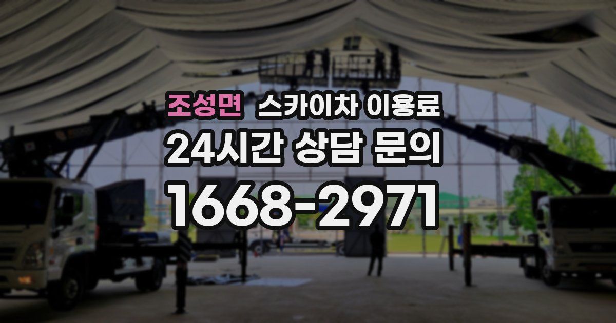 조성면 스카이차 이용료