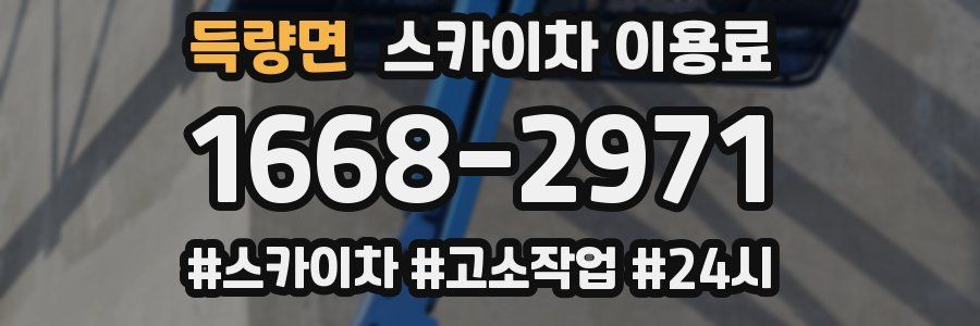 득량면 스카이차 이용료