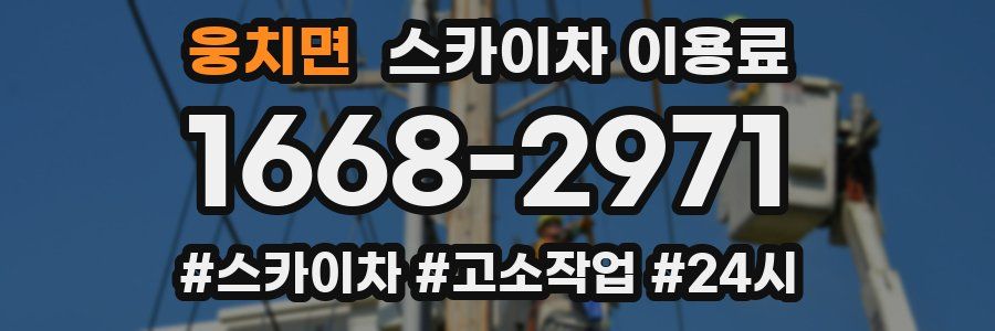 웅치면 스카이차 이용료