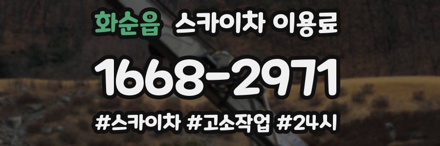 화순읍 스카이차 이용료