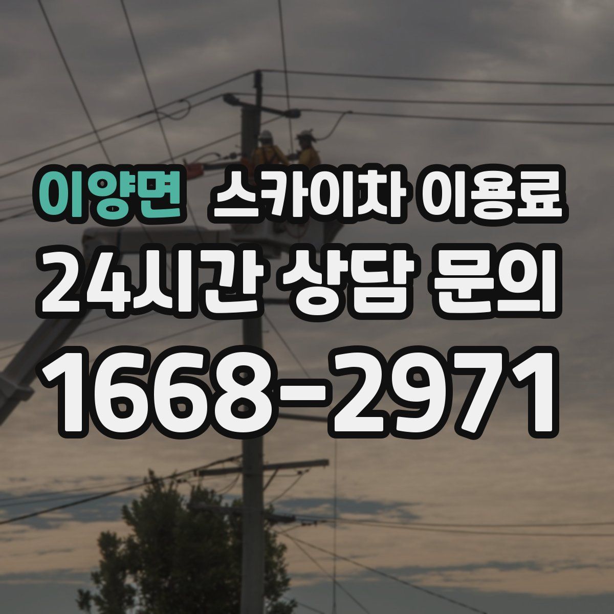 이양면 스카이차 이용료