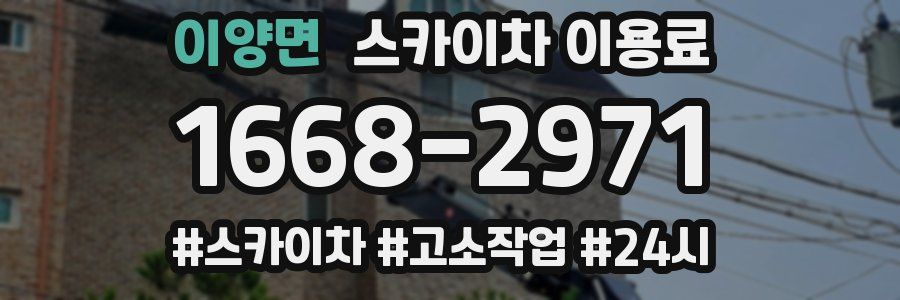 이양면 스카이차 이용료