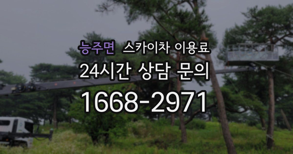 능주면 스카이차 이용료