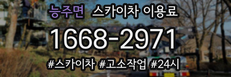 능주면 스카이차 이용료