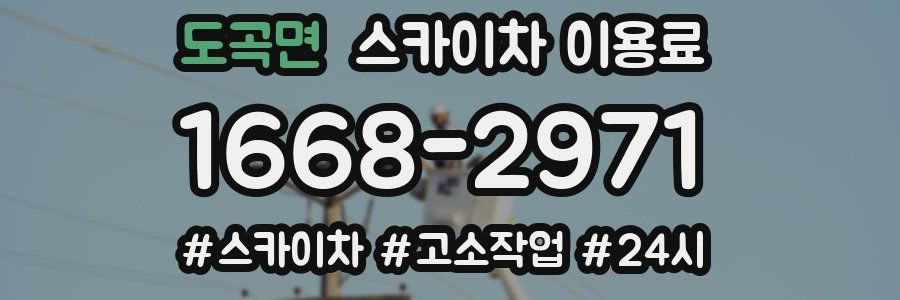 도곡면 스카이차 이용료