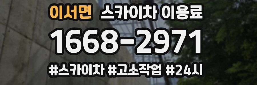 이서면 스카이차 이용료
