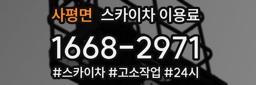 사평면 스카이차 이용료