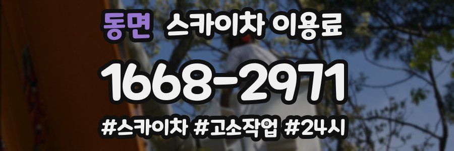 동면 스카이차 이용료