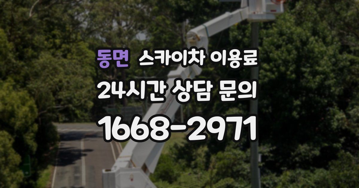 동면 스카이차 이용료