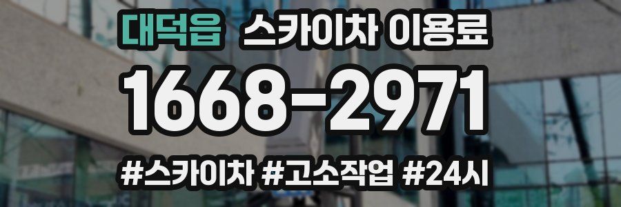대덕읍 스카이차 이용료