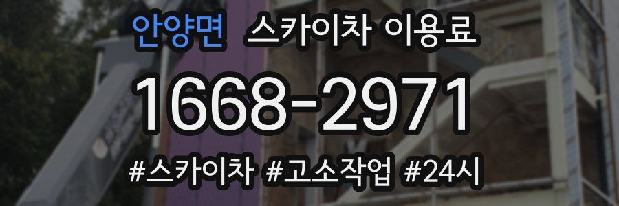 안양면 스카이차 이용료