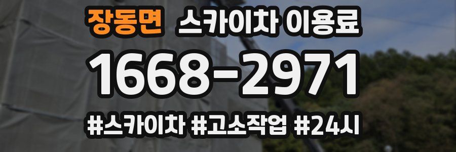 장동면 스카이차 이용료