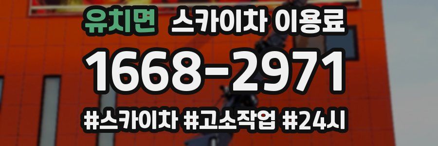 유치면 스카이차 이용료