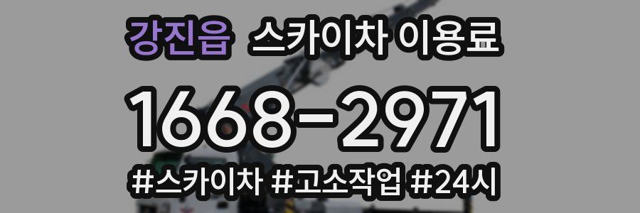 강진읍 스카이차 이용료