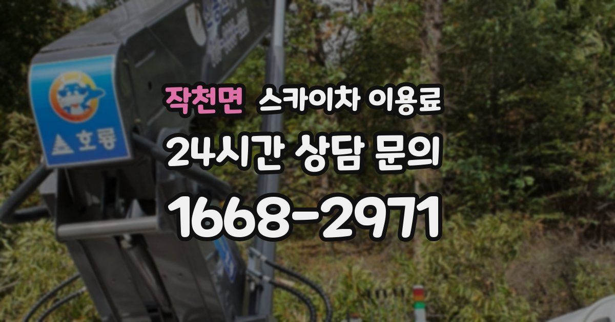 작천면 스카이차 이용료