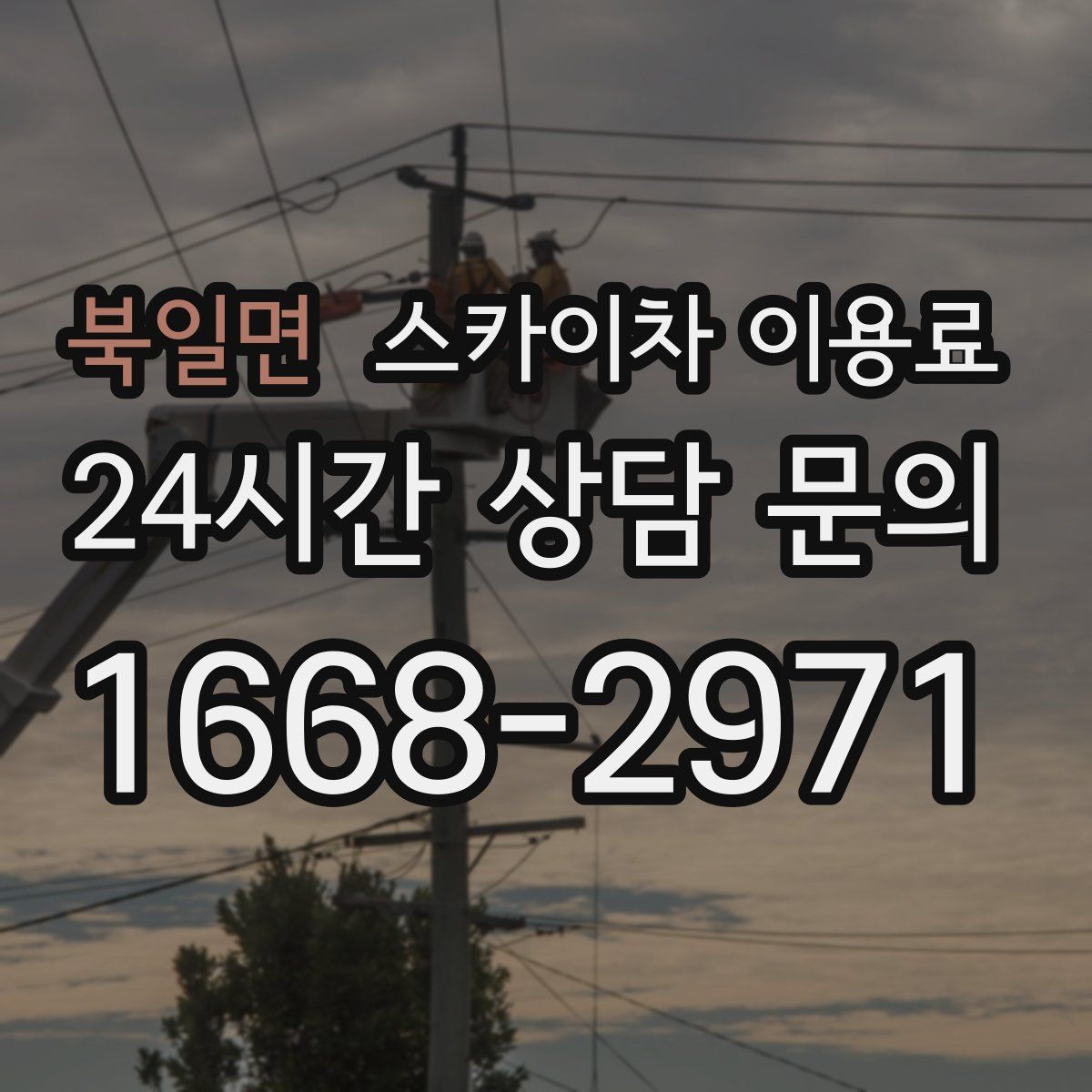 북일면 스카이차 이용료