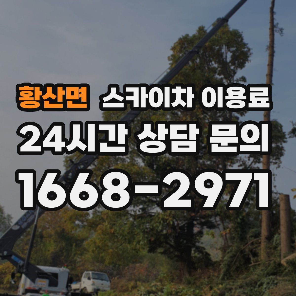 황산면 스카이차 이용료