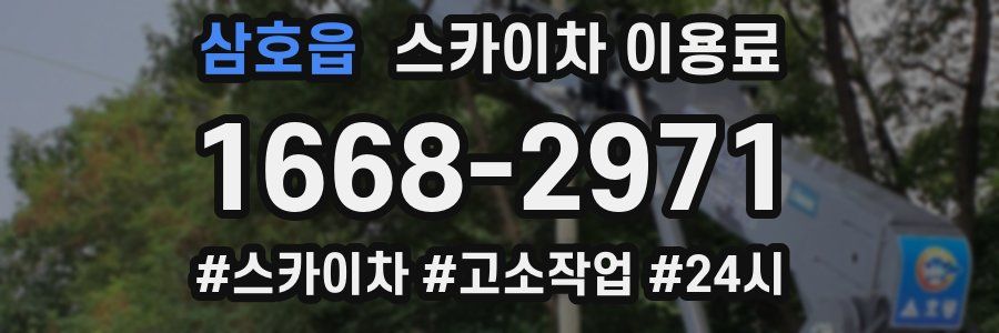 삼호읍 스카이차 이용료