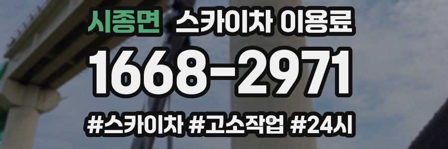 시종면 스카이차 이용료