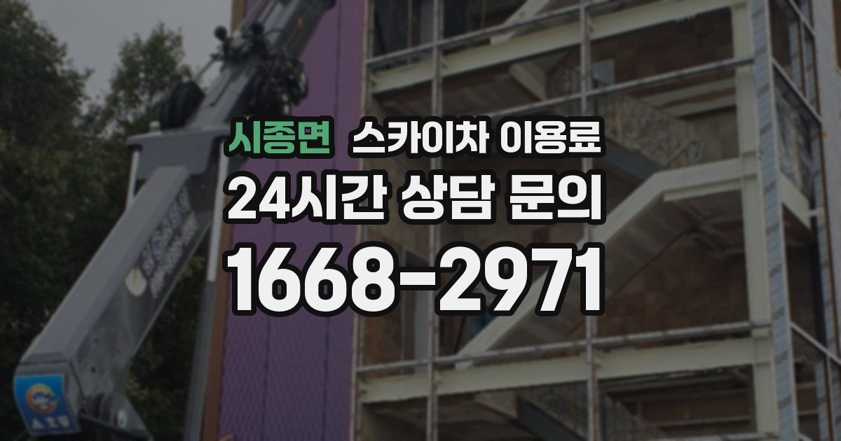 시종면 스카이차 이용료