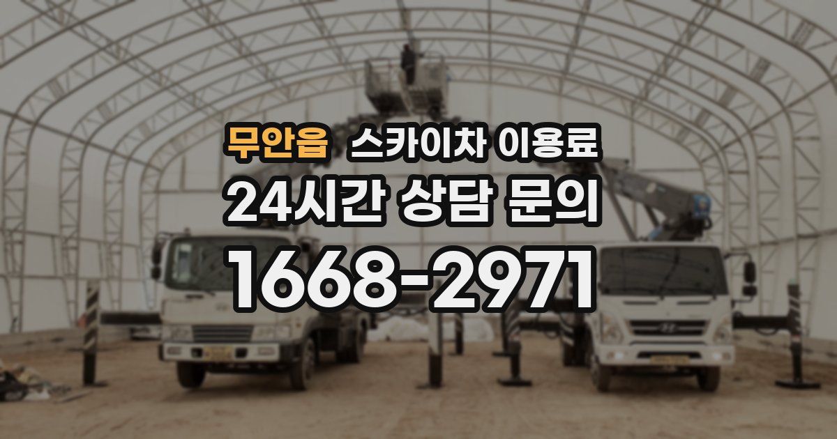 무안읍 스카이차 이용료