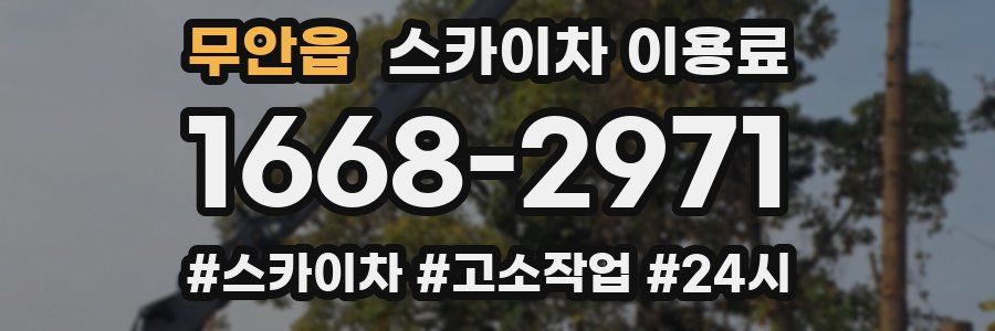 무안읍 스카이차 이용료
