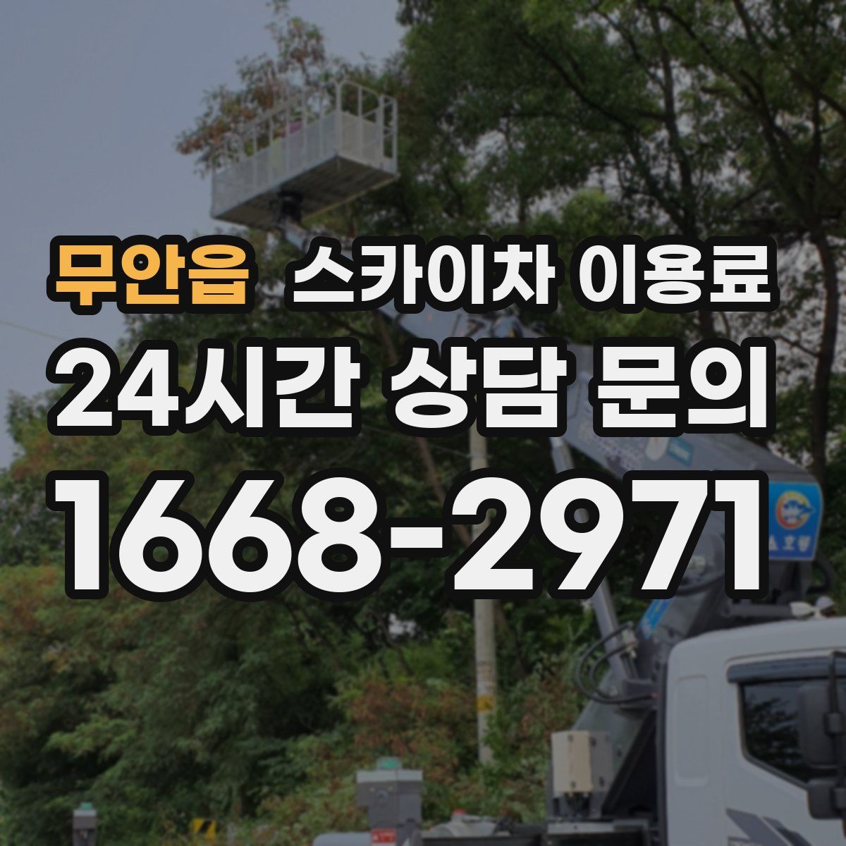 무안읍 스카이차 이용료