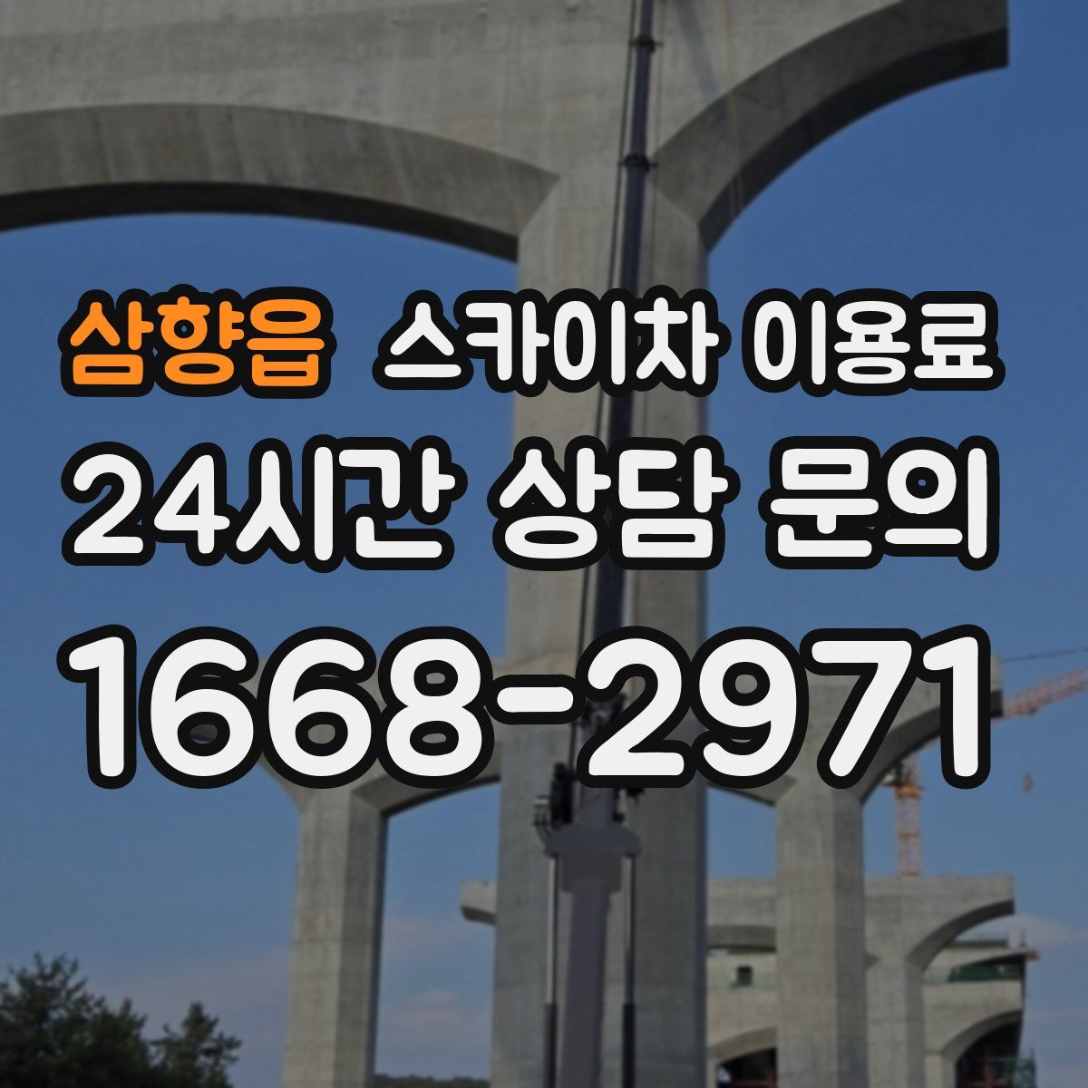 삼향읍 스카이차 이용료
