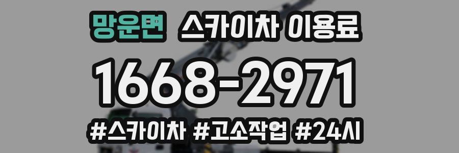망운면 스카이차 이용료