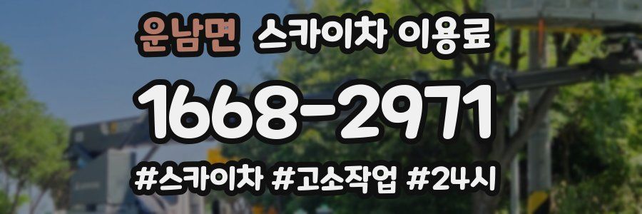 운남면 스카이차 이용료