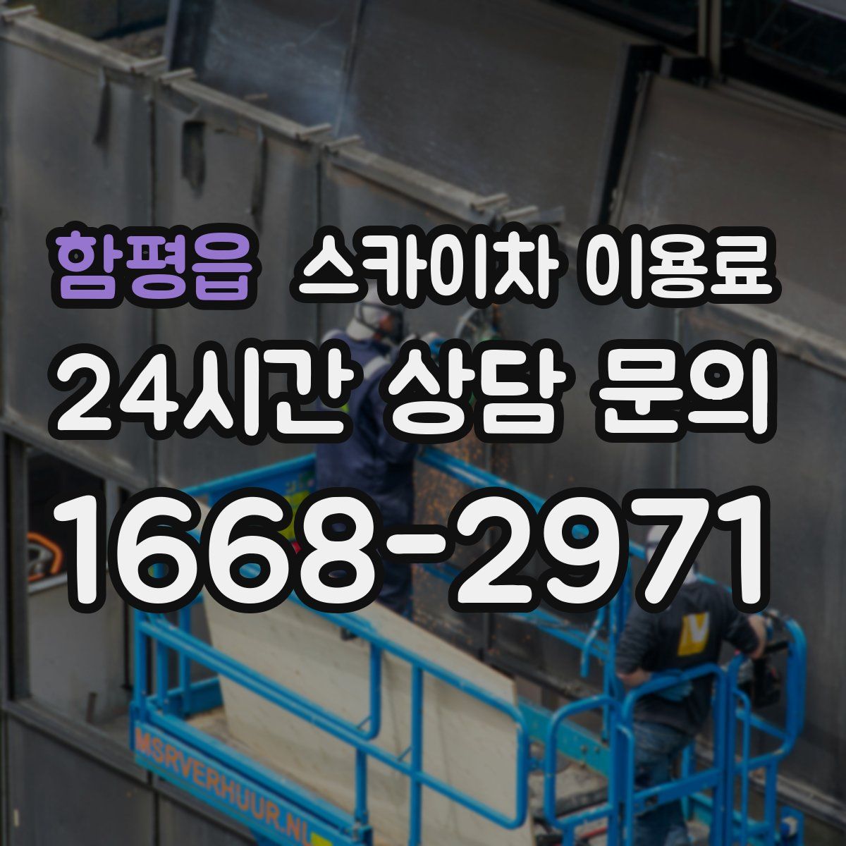 함평읍 스카이차 이용료