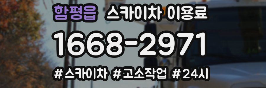 함평읍 스카이차 이용료