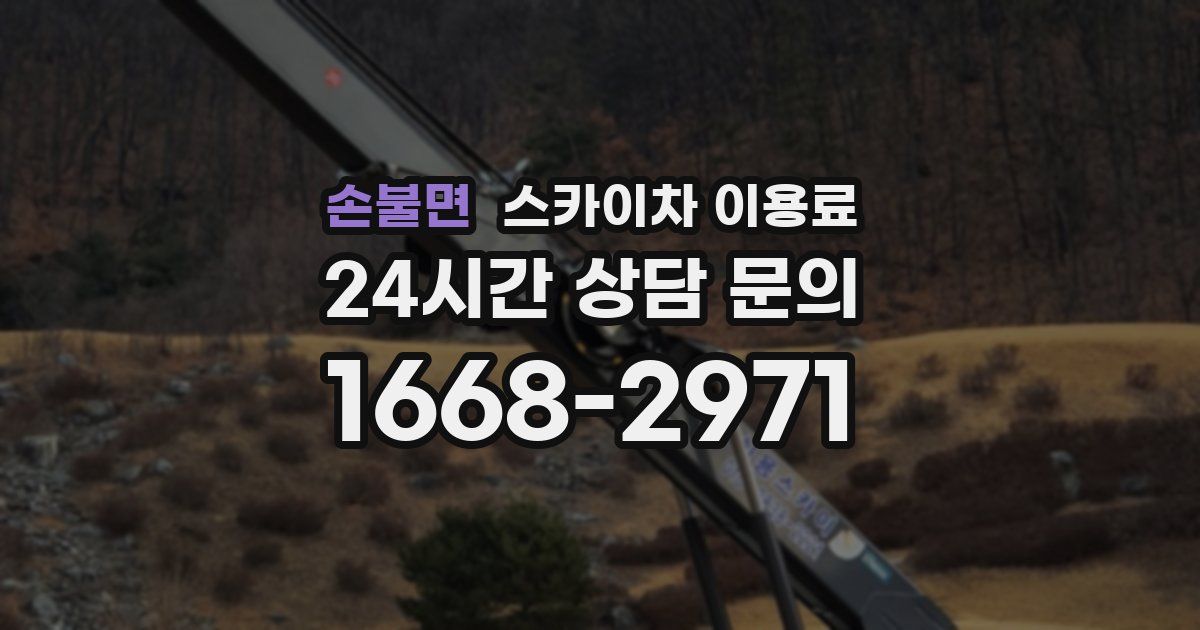 손불면 스카이차 이용료