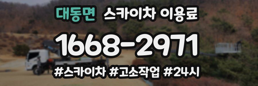 대동면 스카이차 이용료