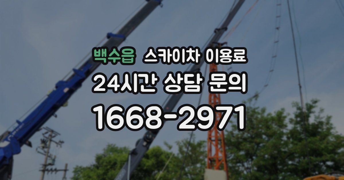 백수읍 스카이차 이용료