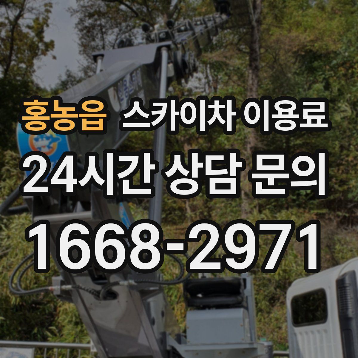 홍농읍 스카이차 이용료