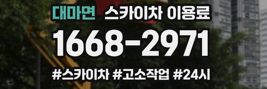 대마면 스카이차 이용료