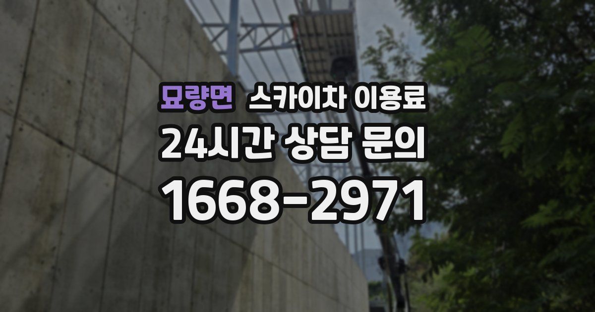 묘량면 스카이차 이용료