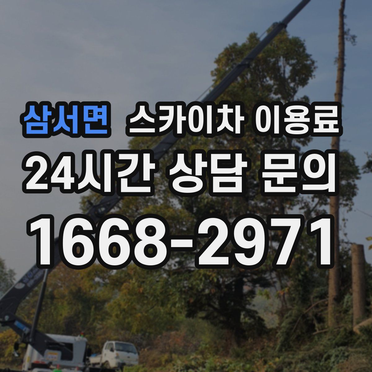 삼서면 스카이차 이용료