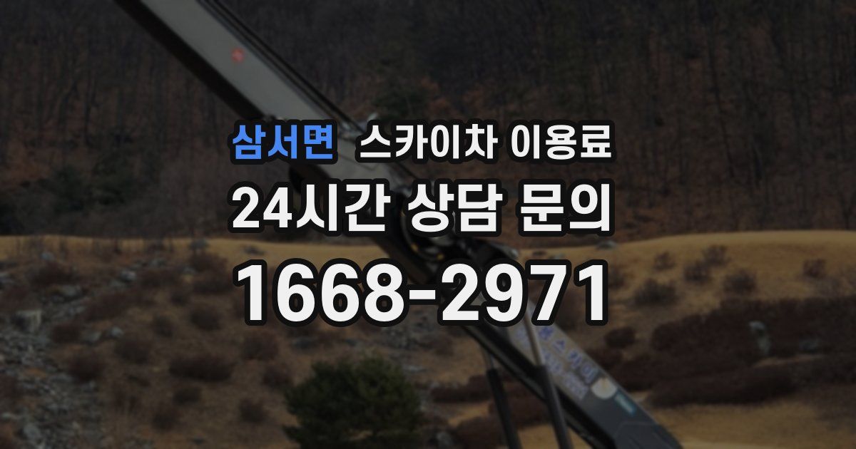 삼서면 스카이차 이용료